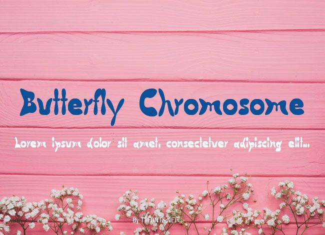 Butterfly Chromosome example